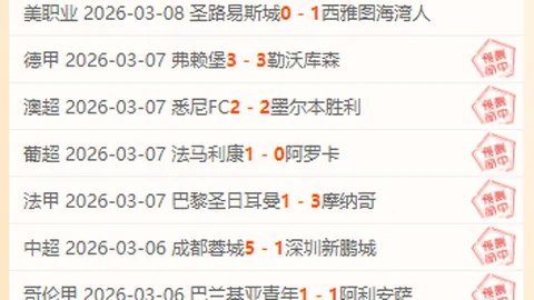 大乐透期号专家质合分析：前区十码推荐帕纳辛vs华伦西亚